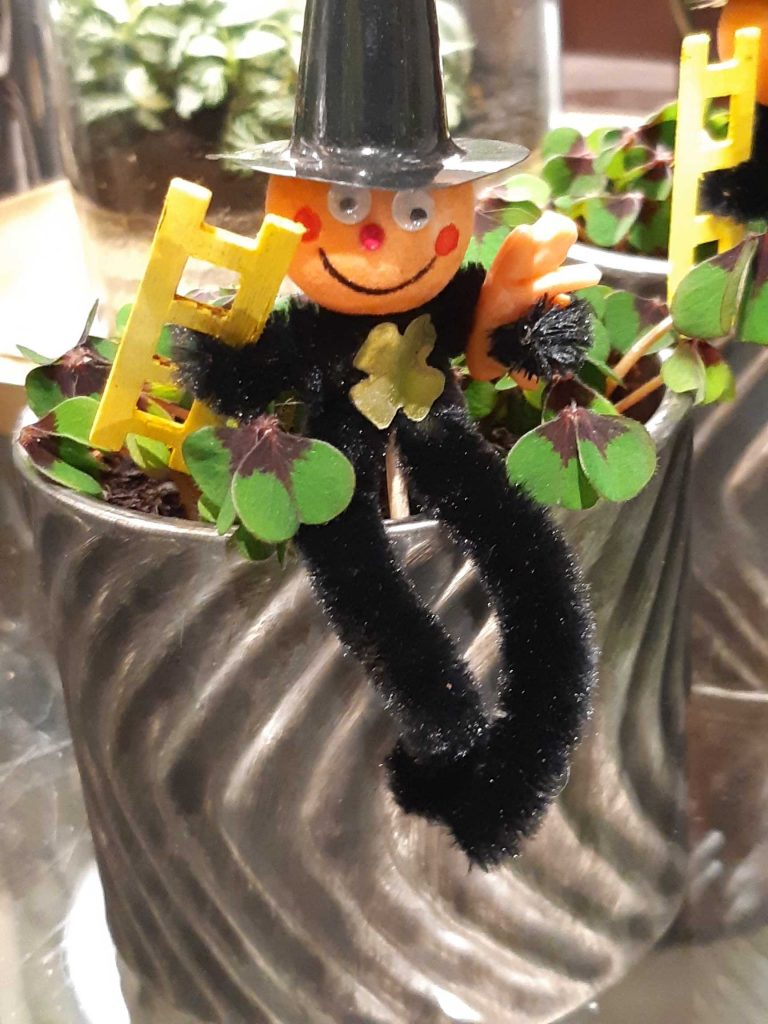 gluecksklee_topf.jpg-1024