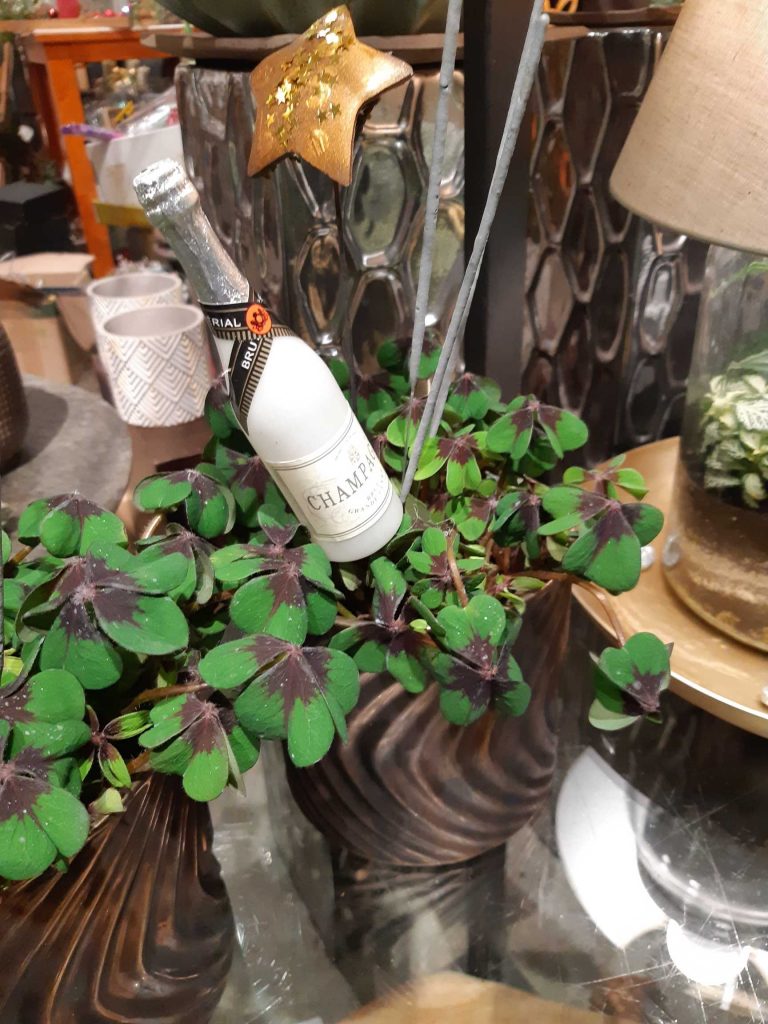 gluecksklee_topf3.jpg-1024