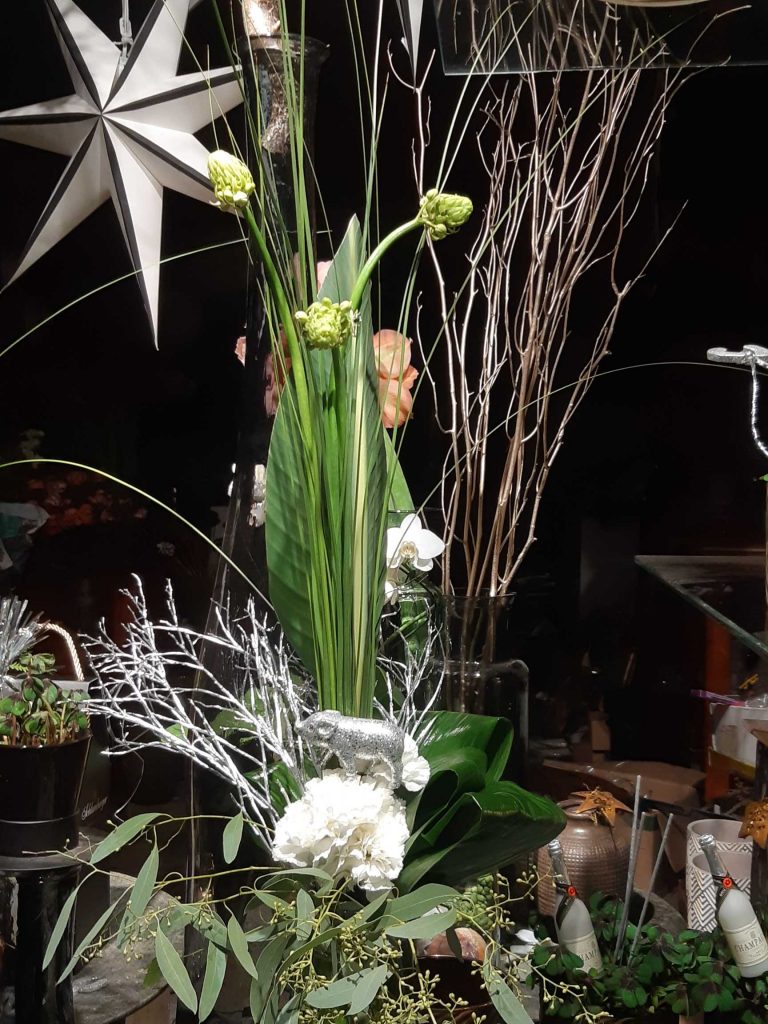 strauss_gestaffelt.jpg-1024