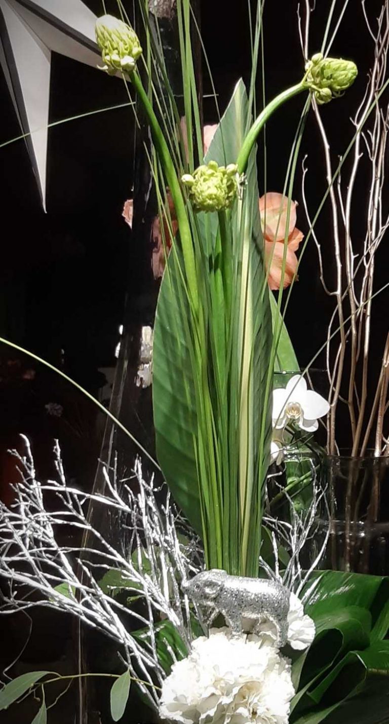 strauss_gestaffelt2.jpg-1024