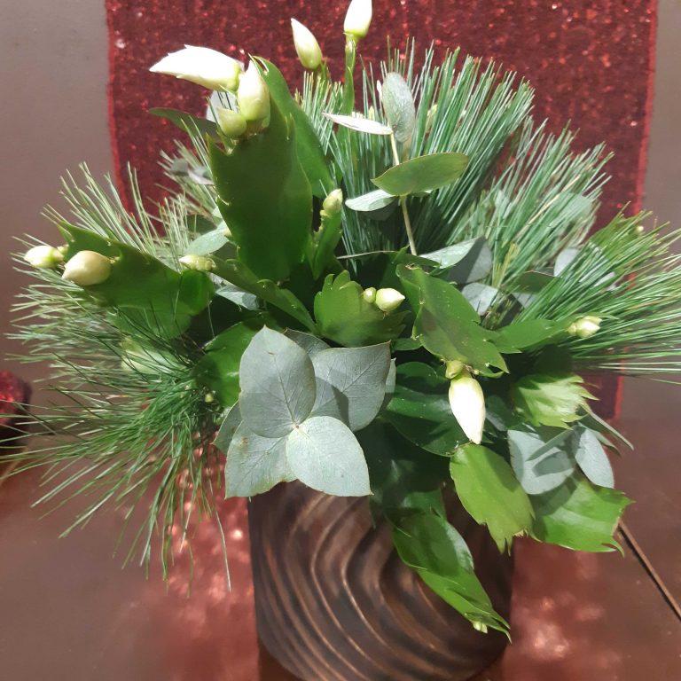 weihnachtskaktus.jpg-1024