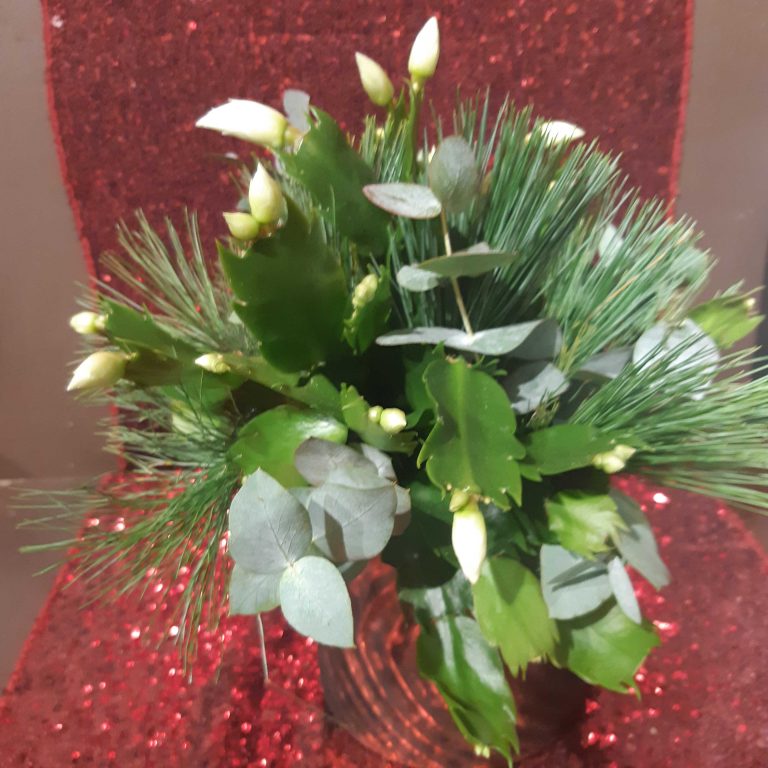 weihnachtskaktus2.jpg-1024