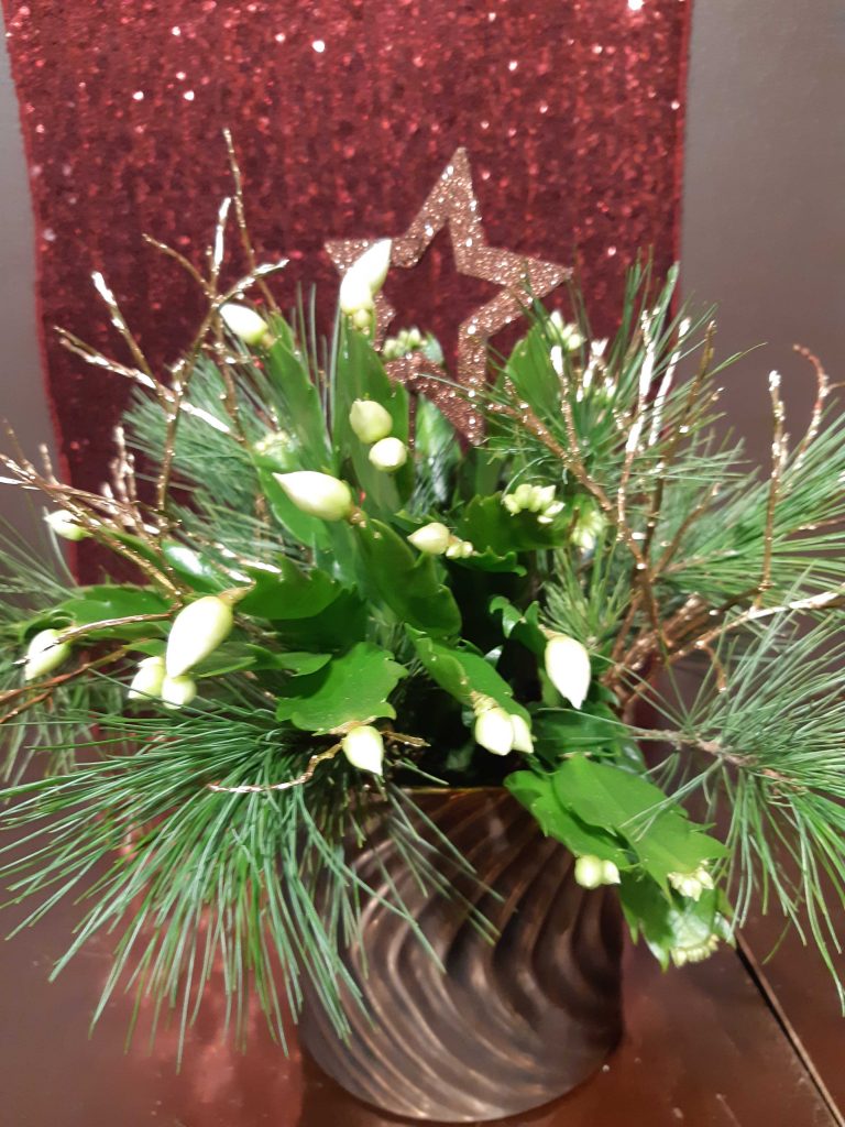 weihnachtskaktus3.jpg-1024