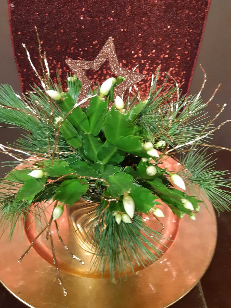 weihnachtskaktus4.jpg-1024